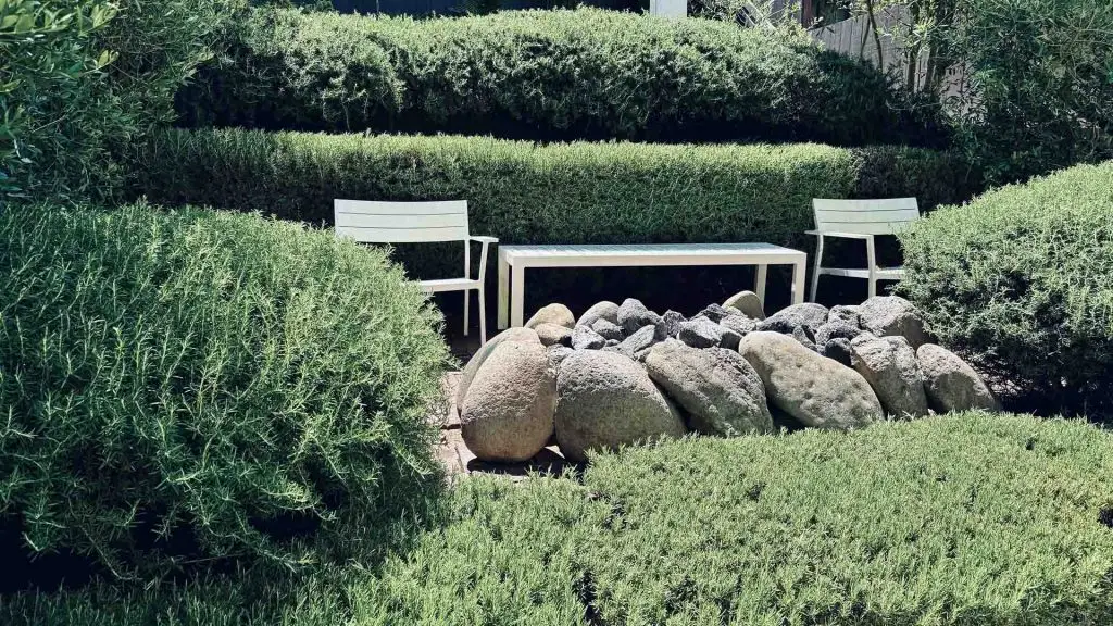 Berkeley Hills Garden