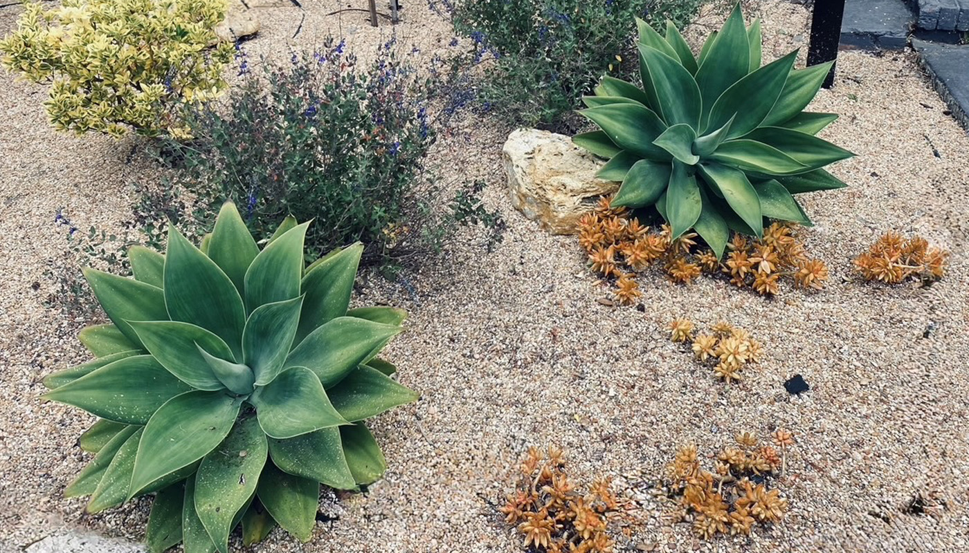 Oakland Hills Garden Design