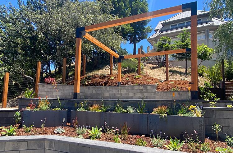 Berkeley Hills Garden